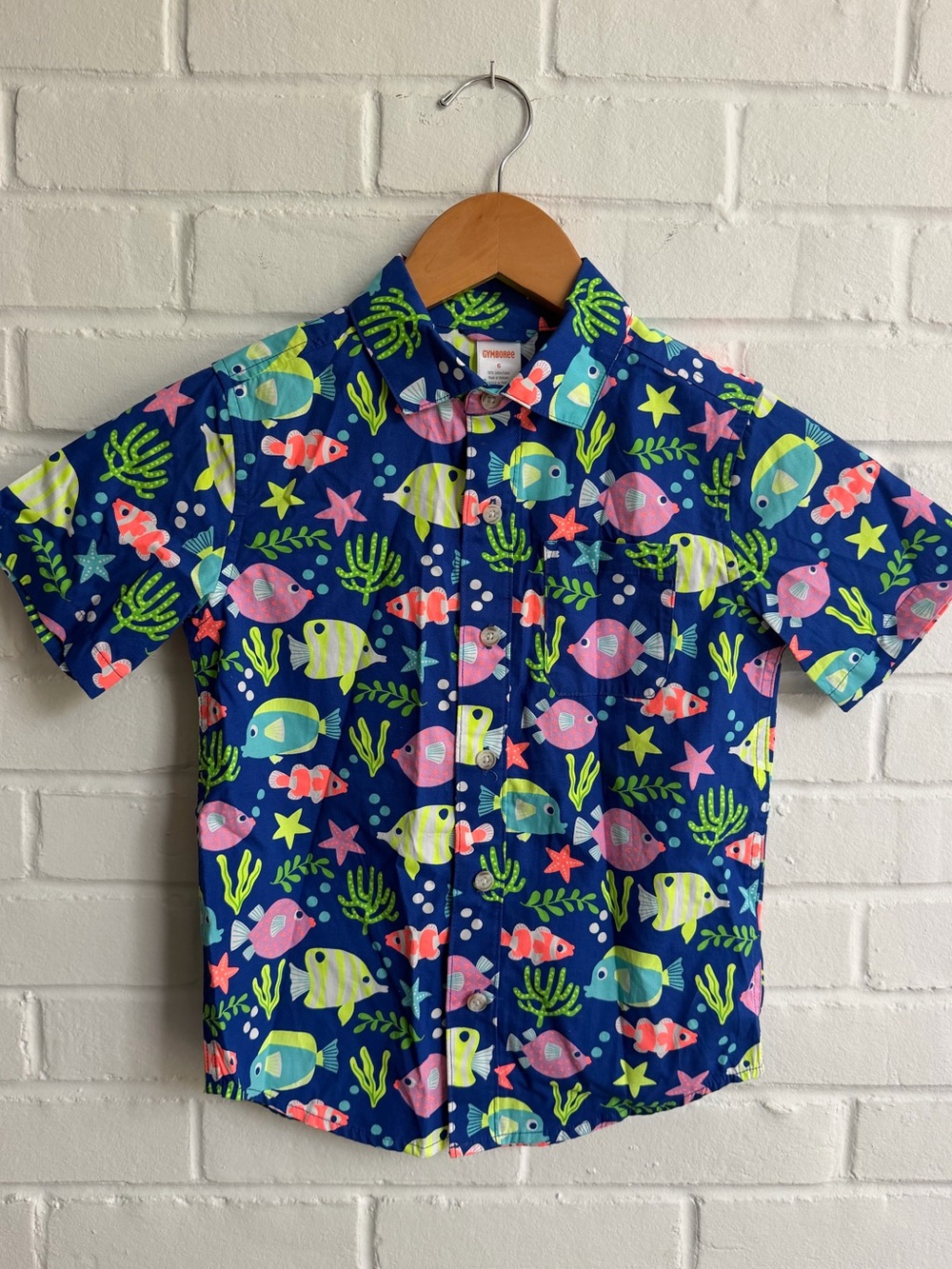 Gymboree button down
